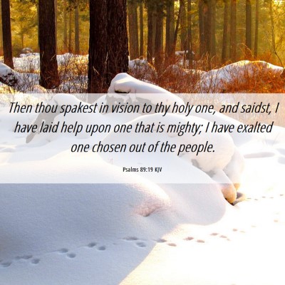 Picture 06 - Psalms 89:19 KJV - Then thou spakest in vision to thy holy one, and - Bible Verse Picture