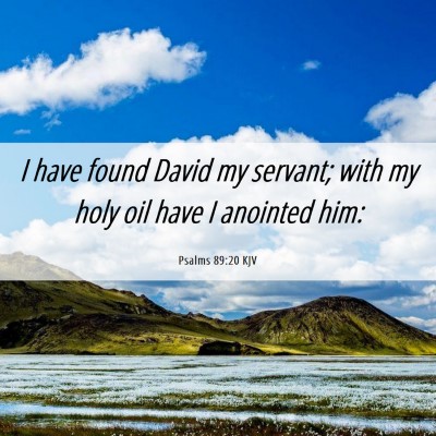 Picture 06 - Psalms 89:20 KJV - I have found David my servant; with my holy oil - Bible Verse Picture