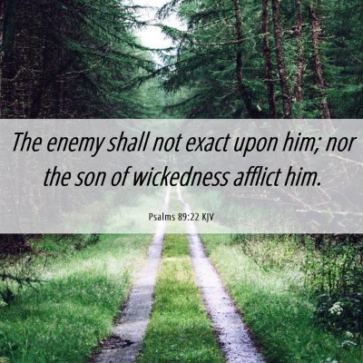 Picture 06 - Psalms 89:22 KJV - The enemy shall not exact upon him; nor the son - Bible Verse Picture
