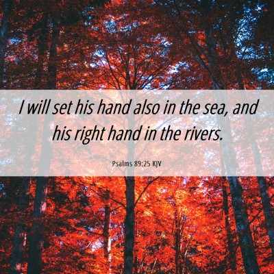 Picture 06 - Psalms 89:25 KJV - I will set his hand also in the sea, and his - Bible Verse Picture