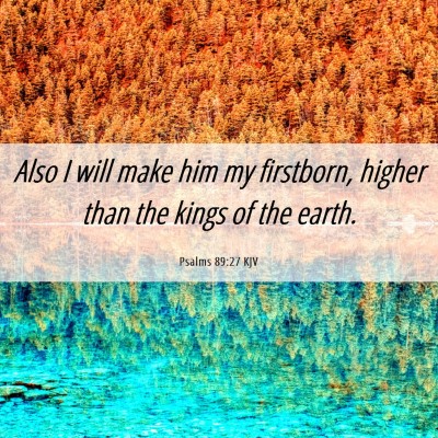 Picture 06 - Psalms 89:27 KJV - Also I will make him my firstborn, higher than - Bible Verse Picture