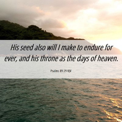 Picture 06 - Psalms 89:29 KJV - His seed also will I make to endure for ever, and - Bible Verse Picture
