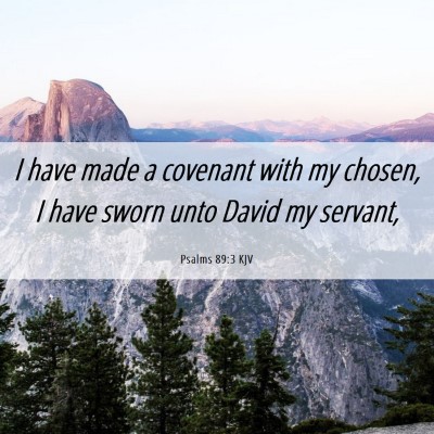 Picture 06 - Psalms 89:3 KJV - I have made a covenant with my chosen, I have - Bible Verse Picture