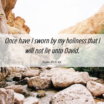 Picture 06 - Psalms 89:35 KJV - Once have I sworn by my holiness that I will not - Bible Verse Picture