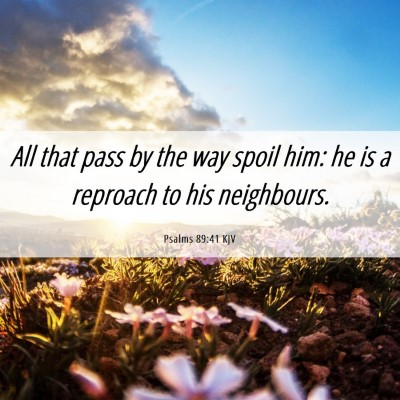 Picture 06 - Psalms 89:41 KJV - All that pass by the way spoil him: he is a - Bible Verse Picture