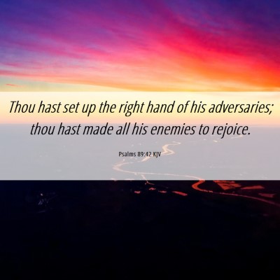 Picture 06 - Psalms 89:42 KJV - Thou hast set up the right hand of his - Bible Verse Picture