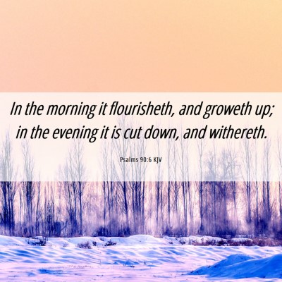 Picture 06 - Psalms 90:6 KJV - In the morning it flourisheth, and groweth up; in - Bible Verse Picture