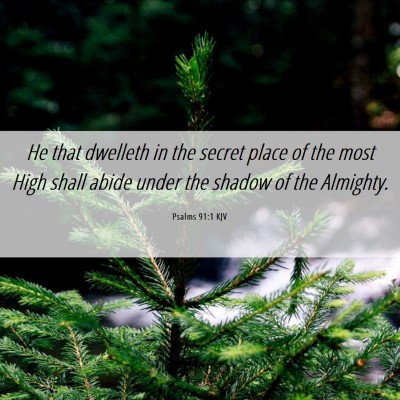 Picture 06 - Psalms 91:1 KJV - He that dwelleth in the secret place of the most - Bible Verse Picture