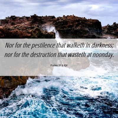 Picture 06 - Psalms 91:6 KJV - Nor for the pestilence that walketh in darkness; - Bible Verse Picture