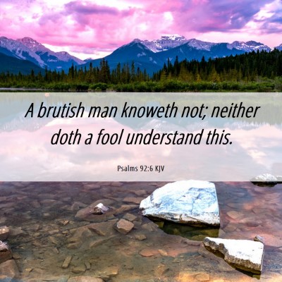 Picture 06 - Psalms 92:6 KJV - A brutish man knoweth not; neither doth a fool - Bible Verse Picture