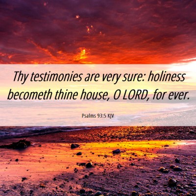 Picture 06 - Psalms 93:5 KJV - Thy testimonies are very sure: holiness becometh - Bible Verse Picture