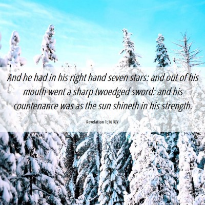 Picture 06 - Revelation 1:16 KJV - And he had in his right hand seven stars: and out - Bible Verse Picture