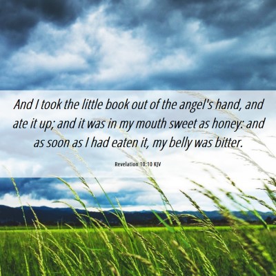 Picture 06 - Revelation 10:10 KJV - And I took the little book out of the angel's - Bible Verse Picture