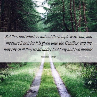 Picture 06 - Revelation 11:2 KJV - But the court which is without the temple leave - Bible Verse Picture