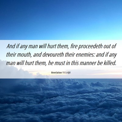 Picture 06 - Revelation 11:5 KJV - And if any man will hurt them, fire proceedeth - Bible Verse Picture