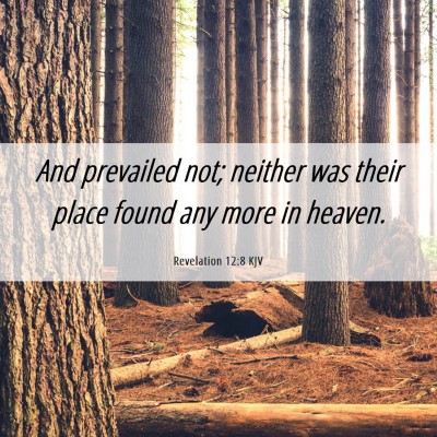 Picture 06 - Revelation 12:8 KJV - And prevailed not; neither was their place found - Bible Verse Picture