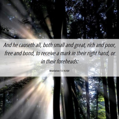 Picture 06 - Revelation 13:16 KJV - And he causeth all, both small and great, rich - Bible Verse Picture
