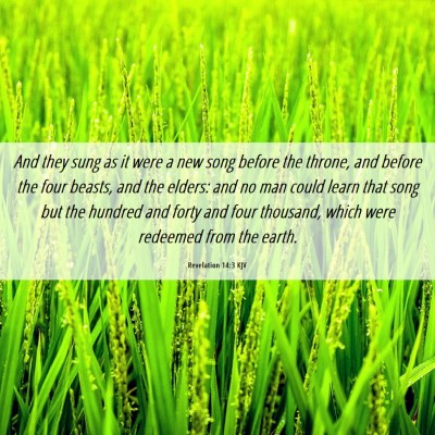 Picture 06 - Revelation 14:3 KJV - And they sung as it were a new song before the - Bible Verse Picture