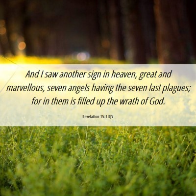 Picture 06 - Revelation 15:1 KJV - And I saw another sign in heaven, great and - Bible Verse Picture