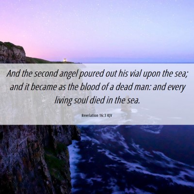 Picture 06 - Revelation 16:3 KJV - And the second angel poured out his vial upon the - Bible Verse Picture