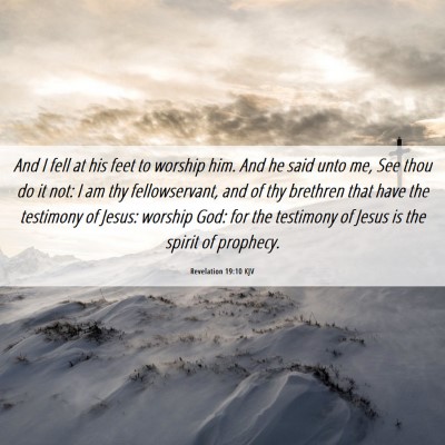 Picture 06 - Revelation 19:10 KJV - And I fell at his feet to worship him. And he - Bible Verse Picture