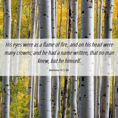 Picture 06 - Revelation 19:12 KJV - His eyes were as a flame of fire, and on his head - Bible Verse Picture