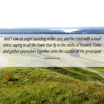 Picture 06 - Revelation 19:17 KJV - And I saw an angel standing in the sun; and he - Bible Verse Picture