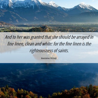 Picture 06 - Revelation 19:8 KJV - And to her was granted that she should be arrayed - Bible Verse Picture