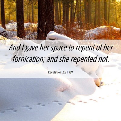 Picture 06 - Revelation 2:21 KJV - And I gave her space to repent of her - Bible Verse Picture