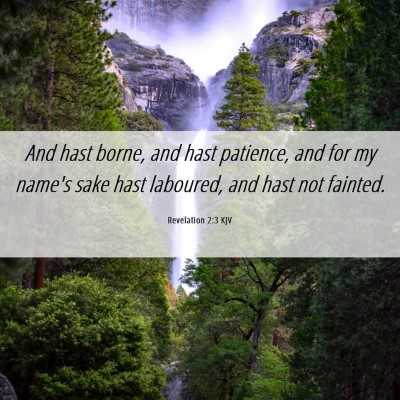 Picture 06 - Revelation 2:3 KJV - And hast borne, and hast patience, and for my - Bible Verse Picture
