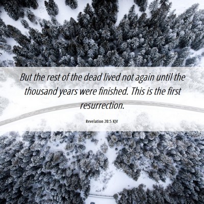 Picture 06 - Revelation 20:5 KJV - But the rest of the dead lived not again until - Bible Verse Picture