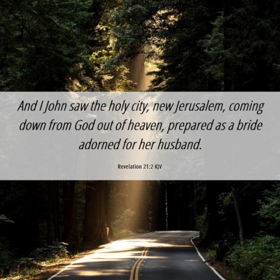 Picture 06 - Revelation 21:2 KJV - And I John saw the holy city, new Jerusalem, - Bible Verse Picture