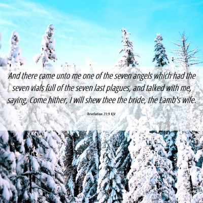 Picture 06 - Revelation 21:9 KJV - And there came unto me one of the seven angels - Bible Verse Picture