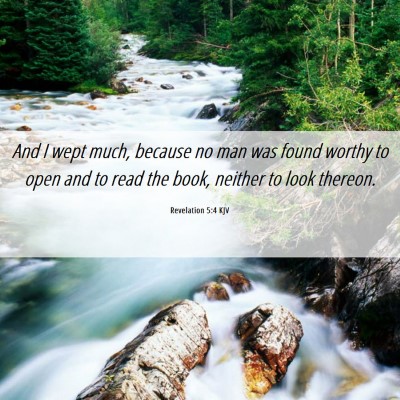 Picture 06 - Revelation 5:4 KJV - And I wept much, because no man was found worthy - Bible Verse Picture