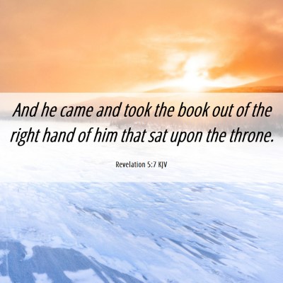 Picture 06 - Revelation 5:7 KJV - And he came and took the book out of the right - Bible Verse Picture