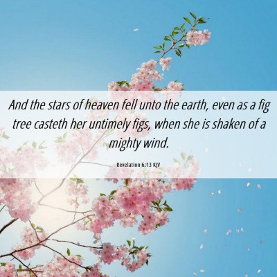 Picture 06 - Revelation 6:13 KJV - And the stars of heaven fell unto the earth, even - Bible Verse Picture