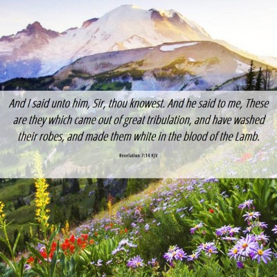 Picture 06 - Revelation 7:14 KJV - And I said unto him, Sir, thou knowest. And he - Bible Verse Picture