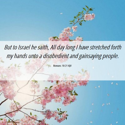 Picture 06 - Romans 10:21 KJV - But to Israel he saith, All day long I have - Bible Verse Picture