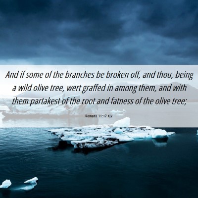 Picture 06 - Romans 11:17 KJV - And if some of the branches be broken off, and - Bible Verse Picture
