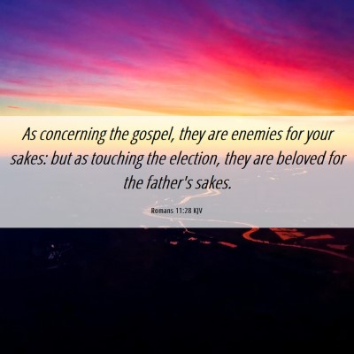 Picture 06 - Romans 11:28 KJV - As concerning the gospel, they are enemies for - Bible Verse Picture