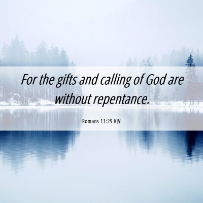 Picture 06 - Romans 11:29 KJV - For the gifts and calling of God are without - Bible Verse Picture