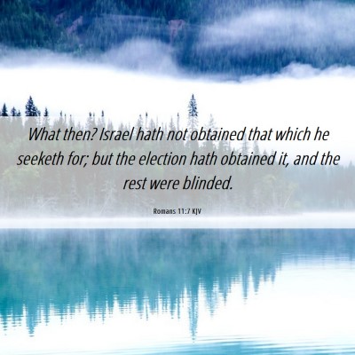 Picture 06 - Romans 11:7 KJV - What then? Israel hath not obtained that which he - Bible Verse Picture