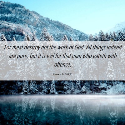 Picture 06 - Romans 14:20 KJV - For meat destroy not the work of God. All things - Bible Verse Picture