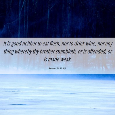 Picture 06 - Romans 14:21 KJV - It is good neither to eat flesh, nor to drink - Bible Verse Picture