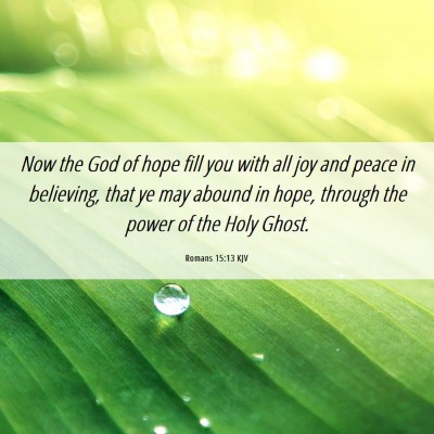 Picture 06 - Romans 15:13 KJV - Now the God of hope fill you with all joy and - Bible Verse Picture