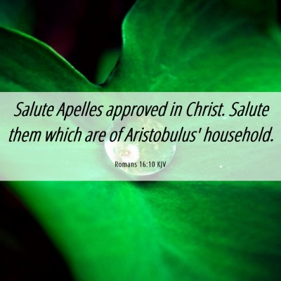 Picture 06 - Romans 16:10 KJV - Salute Apelles approved in Christ. Salute them - Bible Verse Picture