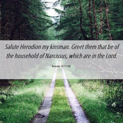 Picture 06 - Romans 16:11 KJV - Salute Herodion my kinsman. Greet them that be of - Bible Verse Picture