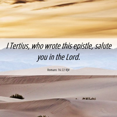 Picture 06 - Romans 16:22 KJV - I Tertius, who wrote this epistle, salute you in - Bible Verse Picture