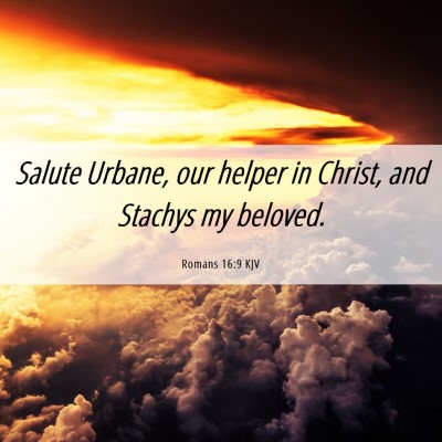 Picture 06 - Romans 16:9 KJV - Salute Urbane, our helper in Christ, and Stachys - Bible Verse Picture