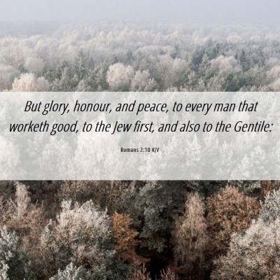 Picture 06 - Romans 2:10 KJV - But glory, honour, and peace, to every man that - Bible Verse Picture